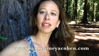 Summer Solstice Celebrations