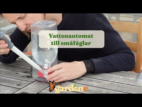 Water dispenser for small birds - Gardenhacks by GardenR