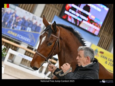 Wildcard van Strijtem ☆ KASANOVA DE LA POMME x MINUTE MAN - Video 10 video thumbnail