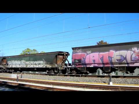 PN 5136 Grain 24-9-12