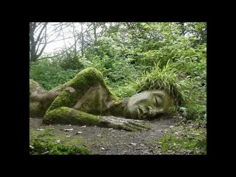 jiří schelinger :: šípková růženka (live in adamov 1979)