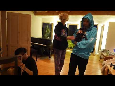 mit wavvy, taddlö, ardy und pipi am ende der welt