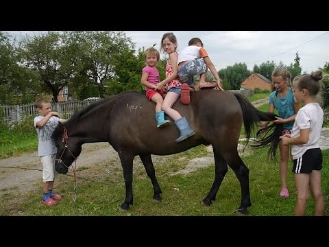 osły dzieci konie tarzanie Camino ZAPRZĘG 300 km 7/10