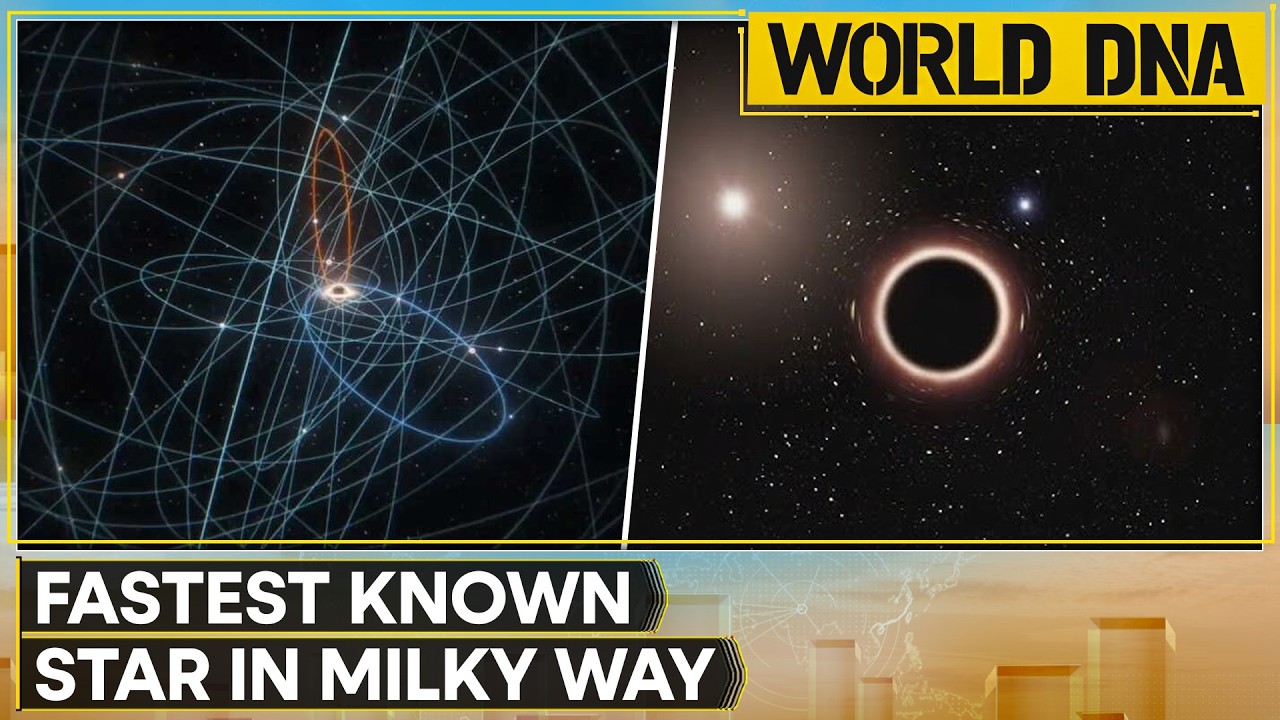 Fastest Star Ever Found in Milky Way Could Unlock Black Hole Secrets | World DNA | WION