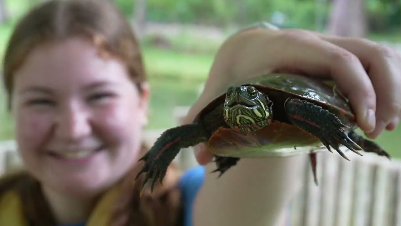 Sunshine Camp Week 2 2025