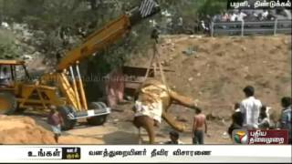 Body of deceased elephant exhumed for post mortem