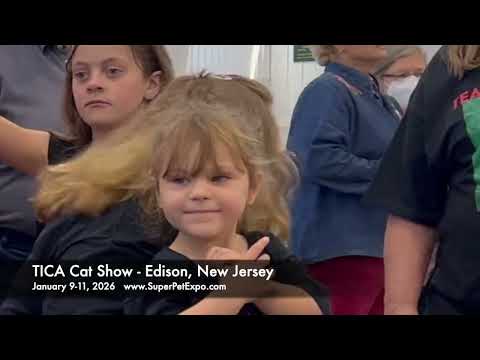 TICA Cat Show