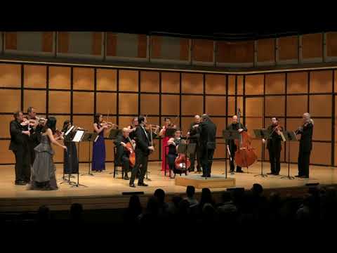 Beethoven: Violin Concerto - I. Allegro moderato