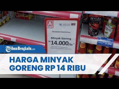 Harga Minyak Goreng Kini Jadi Rp 14 Ribu per Liter, Jadi Buruan Masyarakat hingga Pembelian Dibatasi