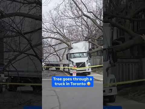 This is wild 👀 🎥 Credit: mamabear_do / TT 🏷️ #waveroom #toronto #canada #mississauga #ontario