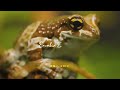 Antha Aagayam Podhatha Whatsapp Status Pathuthala SJeDtz