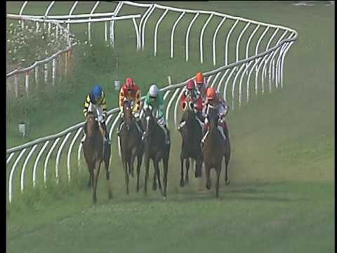 Galoppo 28/06/2017 - 5ª corsa