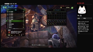 モンスターハンターを初めてプレイ（たぶん、１３日目）