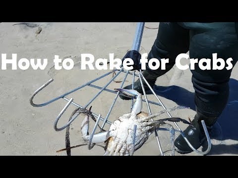 download lagu mp3 mp4 Thompson Beach Crabbing Season, download lagu Thompson Beach Crabbing Season gratis, unduh video klip Thompson Beach Crabbing Season