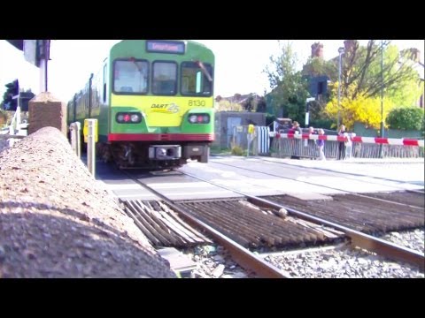DART 8100 Class train at Serpentine avenue Level crossing
