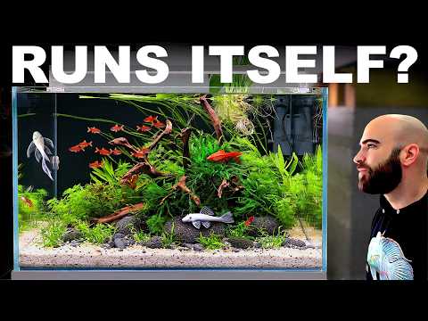 What Happens If You Let Nature Run the Aquarium?