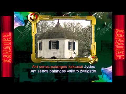 KARAOKE "Mėlynos gatvelės" /Tikri Vyrai/