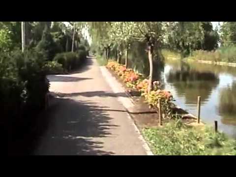 Blue Traveller by REWO