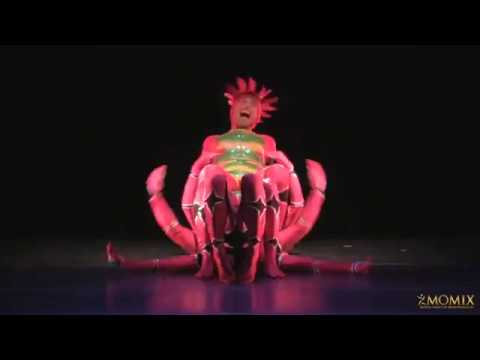 MOMIX Opus Cactus: Live at Overture TUE, FEB 6, 2018