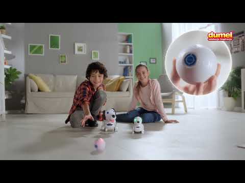 DUMEL Robo Dackel R i Junior od Silverlit