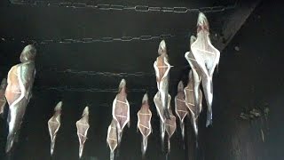 How To Gut Clean and Smoke Trout - Fish Recipe
