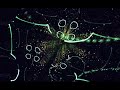 SIX COMPLICATED MONTHS | ForestPsy | DjSet with Immersive Psychedelic Visuals