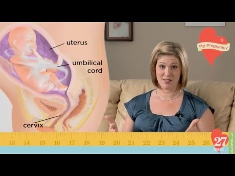 My Pregnancy - Week 27