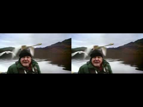 Conquest of the Skies 3D SBS 16:9