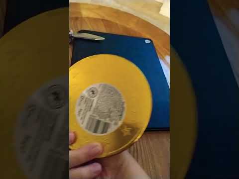 giant chocolate coin