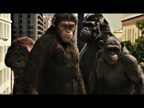El Planeta de los Simios: (R)Evolición (2011) Ataque en San Francisco (Español Latino)