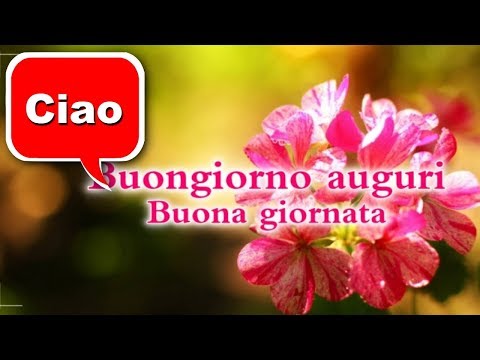 Italian Good Morning Gif Image Video