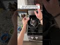 #shorts #chinchilla #guilty #cooking