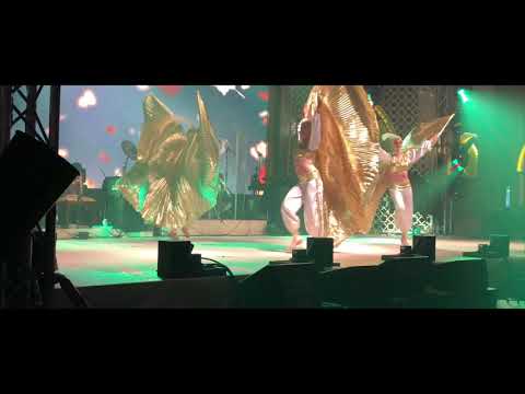 Gold Wings Performance