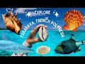 Muscheln Sammeln Und Tauchen In Fakarava Französisch Polynesien SELTENE Muscheln