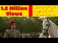 Urdu Moral Stories Urdu Moral Story Hindi Moral Stories Moral Stories Stories In Hindi Urdu