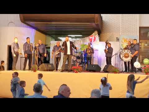 DAR-MAR I NIKOLA PETRACKOVIC - SPLET PESAMA