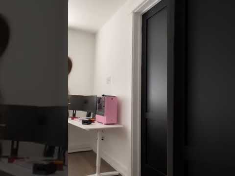 Lev Cameron | TikTok