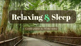 Sleep Music That Heals | Alpha Waves for Stress Relief, Meditation, and Deep Rest