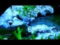 Cooling of the Embers - Missy Higgins