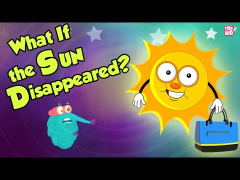 What If The Sun Disappeared? | SUN | Space Video | Dr Binocs Show | Peekaboo Kidz