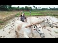 Annadata Song Etv Annadata Song Farmers Songs