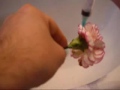 Jak udelat svitici kvetinu (Tearon) - Známka: 2, váha: velká