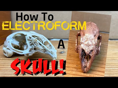 How To Electroform a SKULL!