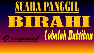 Download lagu SUARA PANGGIL WALET BIRAHI SUPER RESPON DAN JERNIH mp3