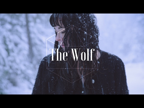 Mumford & Sons - The Wolf (Ladysse Cover)