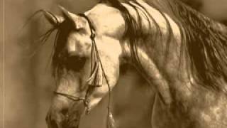 El moro y el melon(Videomaster496).mpg