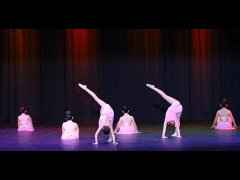 Escuela De Danza Stardanze* - Lirico Comtemporáneo - DWC2016 - PUPPYHOOD