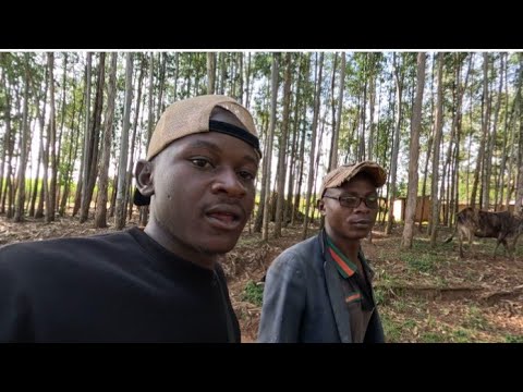 Lie's, Lie's Everywhere, Listen To Gucci Man!!