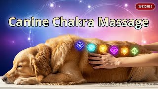 Canine Chakra Massage 🐾 Gentle Touch for Deep Bonding & Healing