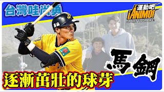 [分享] 逐漸茁壯的球芽｜馬鋼